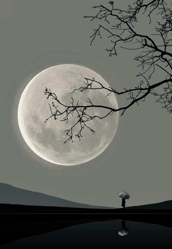 Luna tra gli alberi luna su uomo con ombrello
