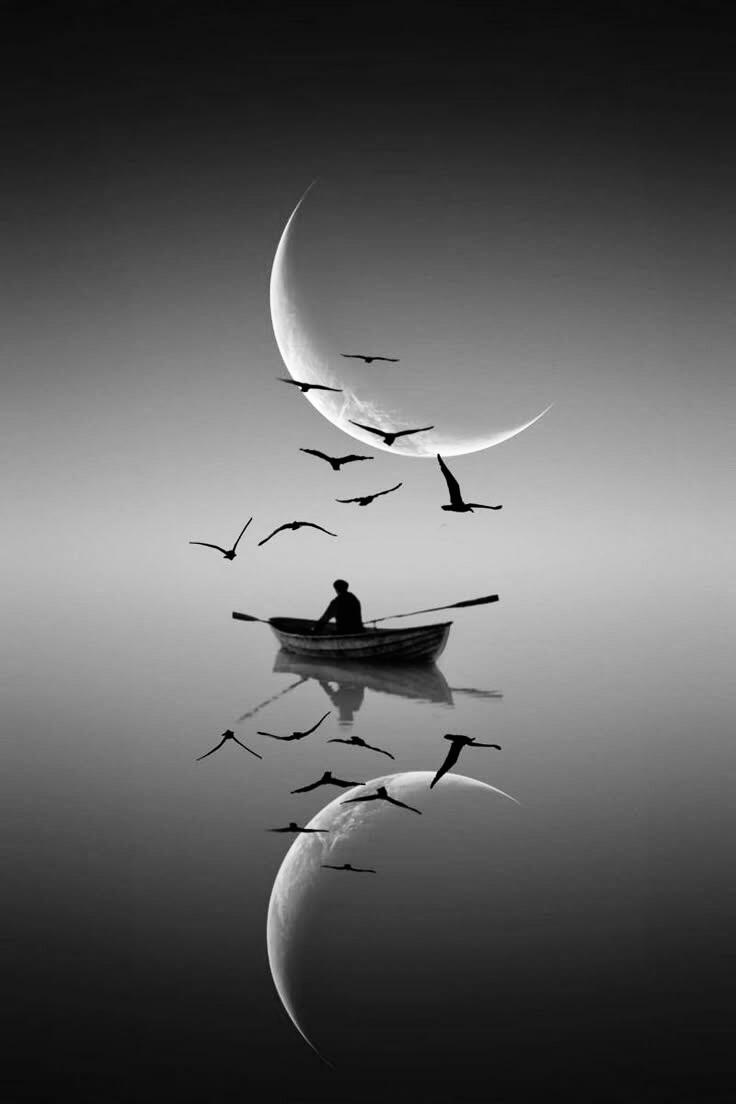 luna con barca a remi luna su barca a remi e uccelli riflessi nell'acqua